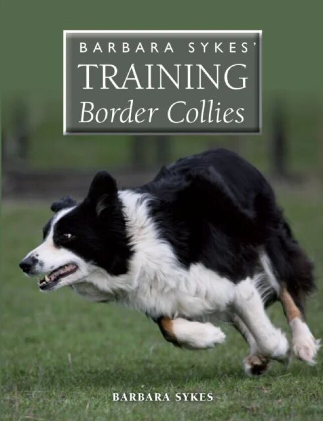 Barbara Sykes&#039; Training Border Collies av Barbara Sykes