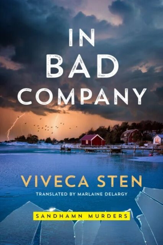 In Bad Company av Viveca Sten