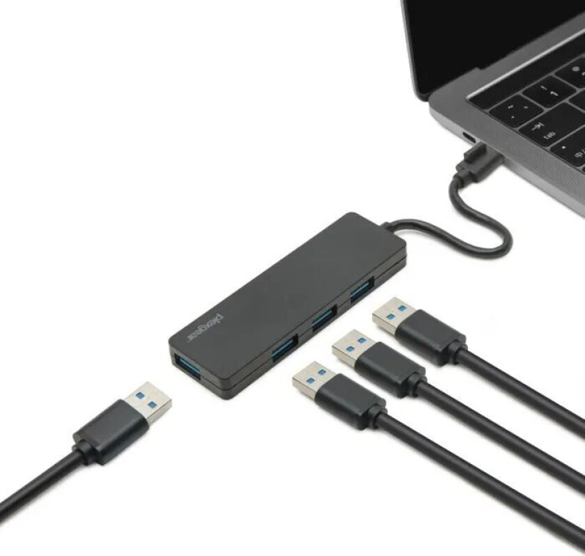 Portable 440 USB-C-hub 4-veis