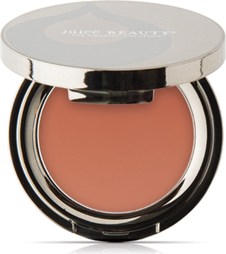 Phyto Pigments Last Looks Cream Blush 04 Flush