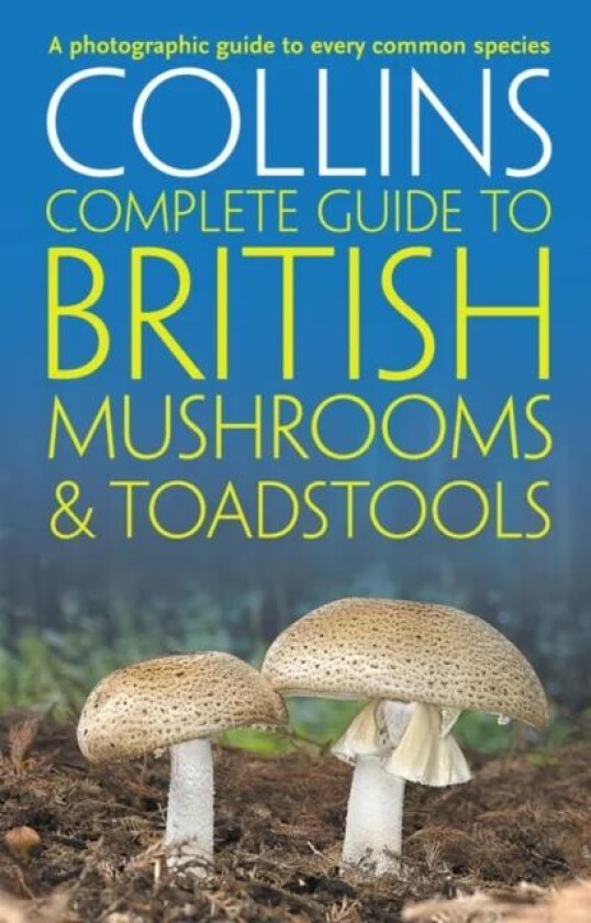 Collins Complete British Mushrooms and Toadstools av Paul Sterry, Barry Hughes