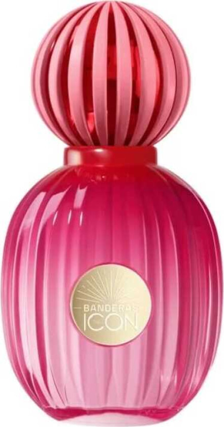 The Icon Pour Femme Edp 100ml