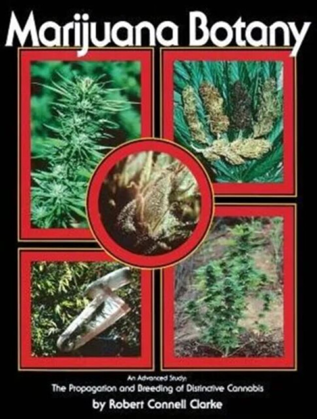 Marijuana Botany av Robert Connell Clarke