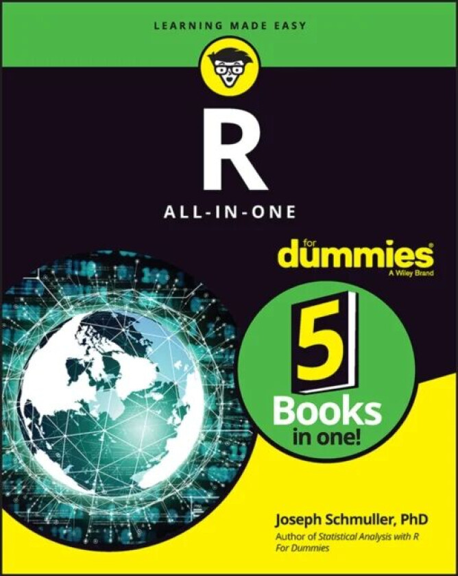 R All-in-One For Dummies av Joseph Schmuller