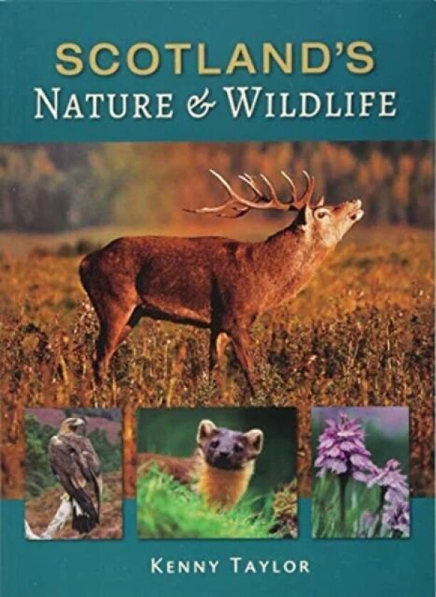 Scotland's Nature & Wildlife av Kenny Taylor