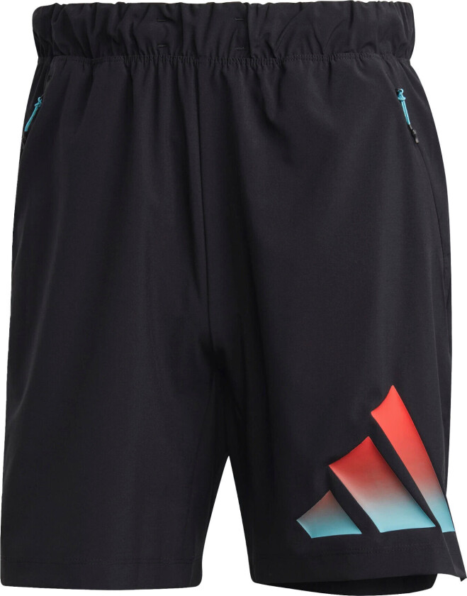 Train Icons 3-Stripes Shorts Herre Black XL