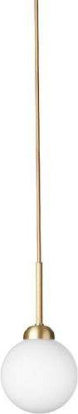 - Apiales 1 Pendel Brass/Opal