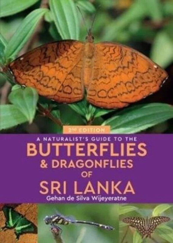 A Naturalist's Guide to the Butterflies of Sri Lanka (2nd edition) av Gehan de Silva Wijeyeratne