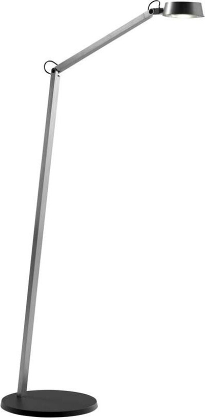 - Dark F1 Gulvlampe Titanium