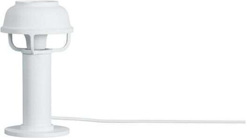 - Kori Bordlampe White
