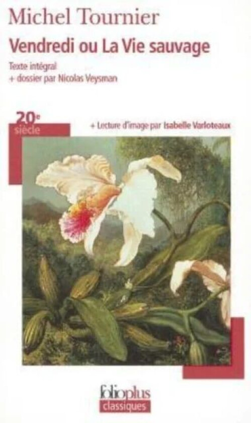 Vendredi ou la vie sauvage av Michel Tournier