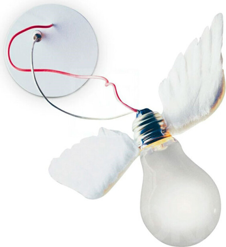 - Lucellino Vegglampe