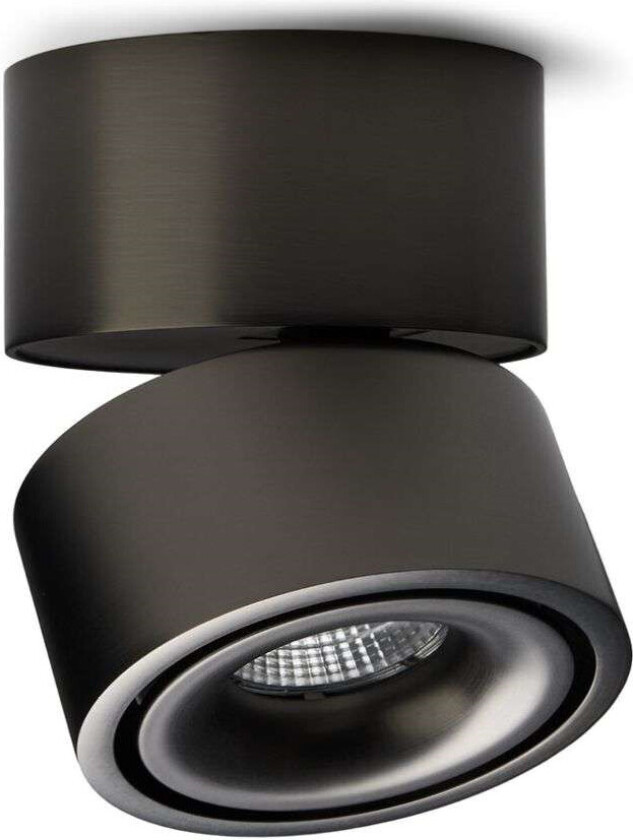 - Easy W100 Spott Titanium