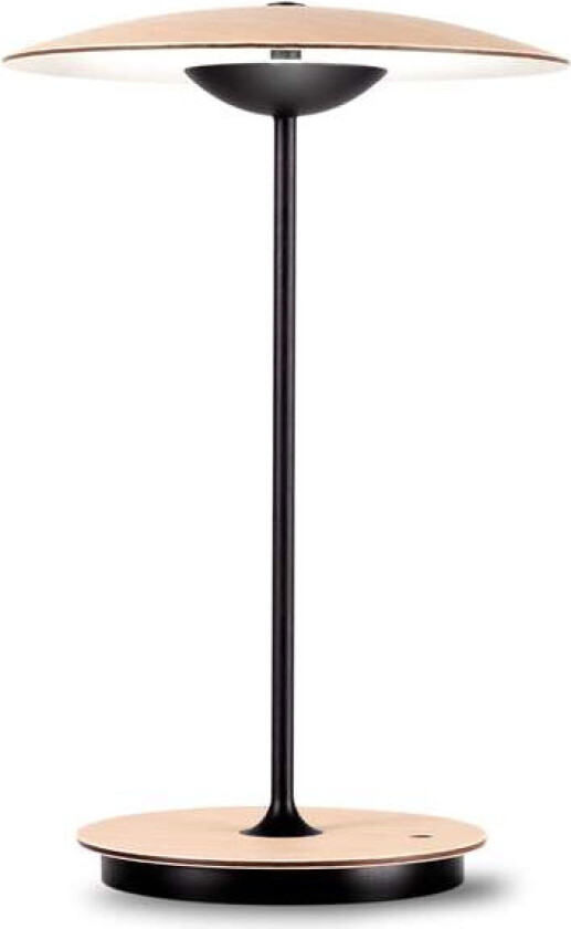 - Ginger 20M Bordlampe Portable Oak