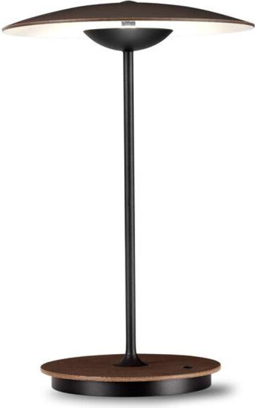 - Ginger 20M Bordlampe Portable Wenge