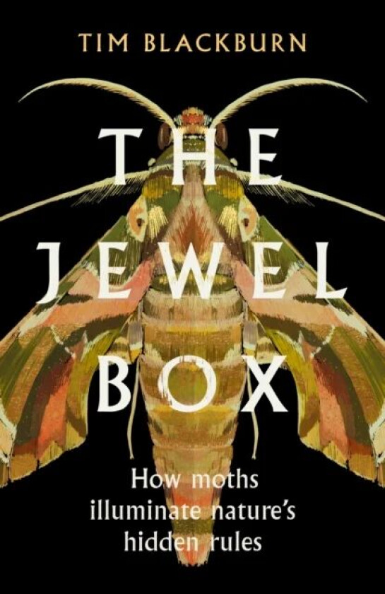 The Jewel Box av Tim Blackburn