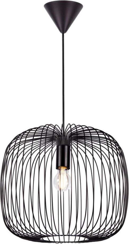 - Beroni 40 Pendel Black