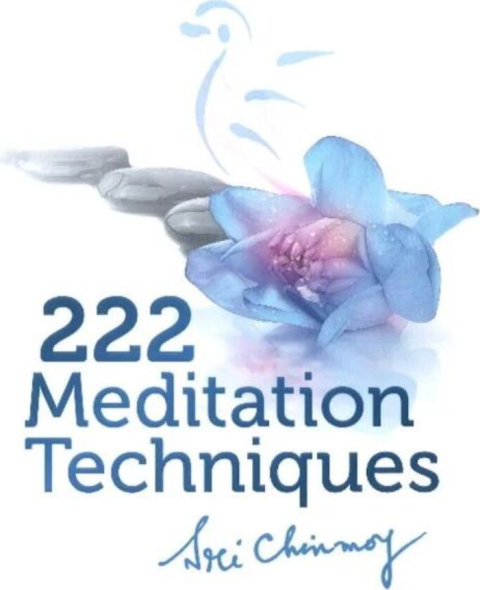 222 Meditation Techniques av Sri Chinmoy