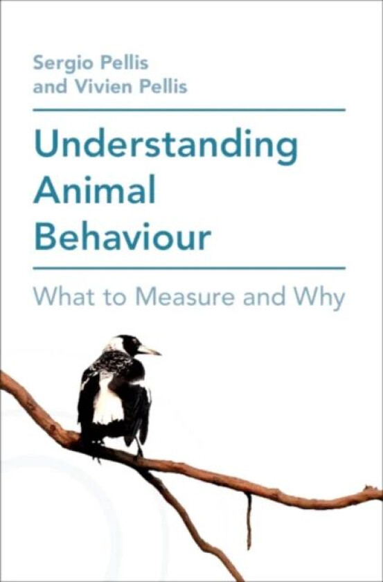 Understanding Animal Behaviour av Sergio (University of Lethbridge Alberta) Pellis, Vivien (University of Lethbridge Alberta) Pellis