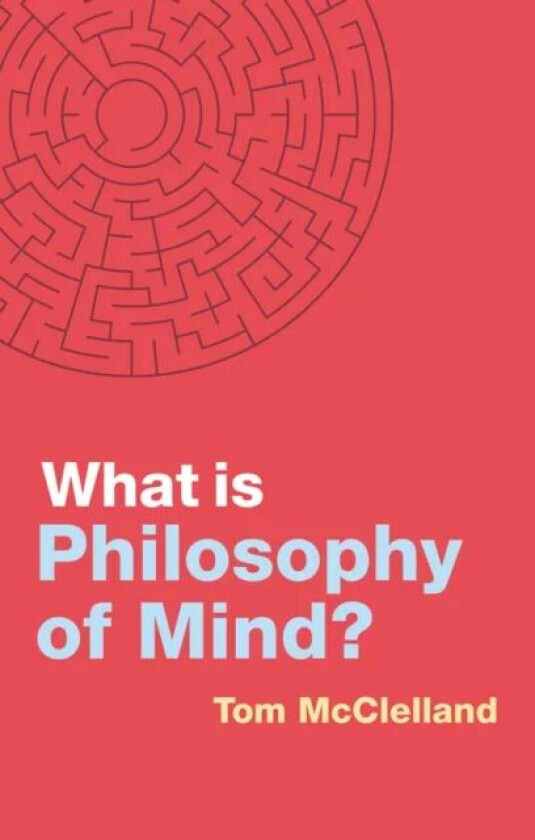 What is Philosophy of Mind? av Tom McClelland
