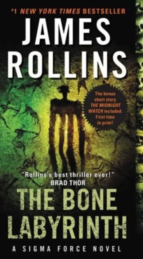 The Bone Labyrinth av James Rollins