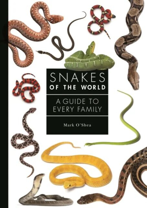 Snakes of the World av Mark O'Shea