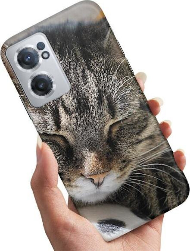 OnePlus Nord CE 2 5G - Deksel/Mobildeksel Sovende Katt