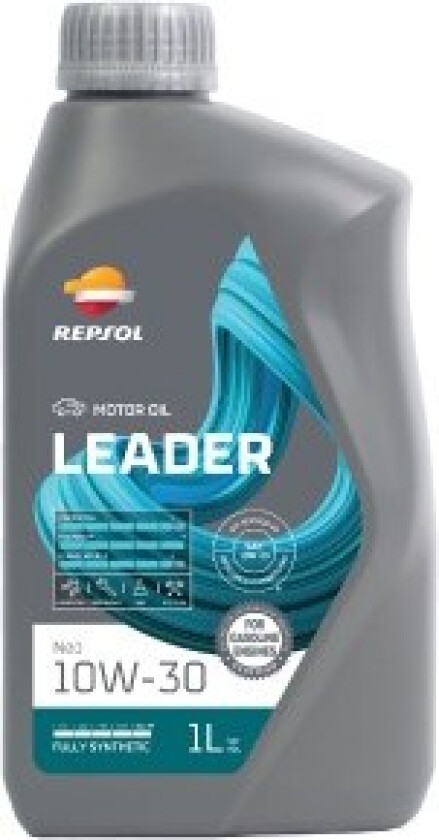 RPP0100LHA Motorolje