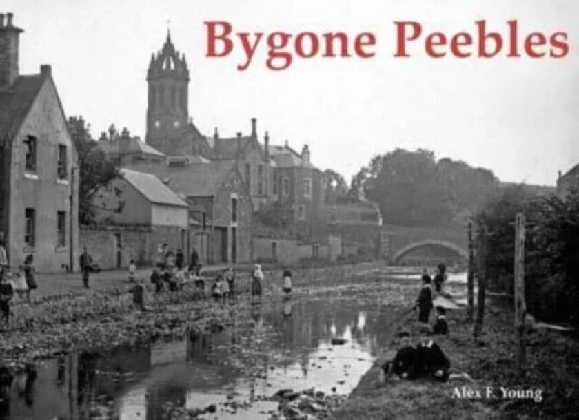 Bygone Peebles av Alex F. Young