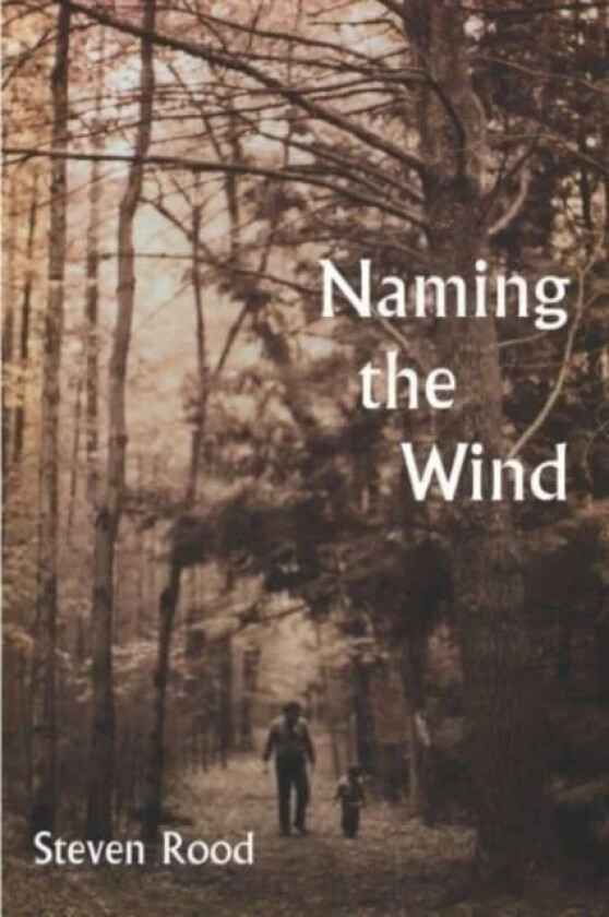 Naming the Wind av Steven Rood