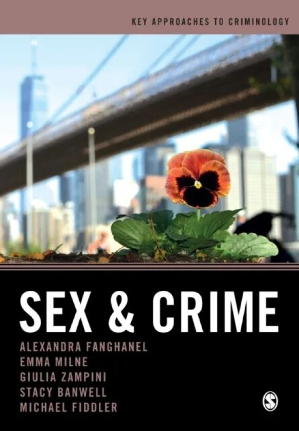 Sex and Crime av Alexandra Fanghanel, Emma Milne, Giulia Federica Zampini, Stacy Banwell, Michael Fiddler