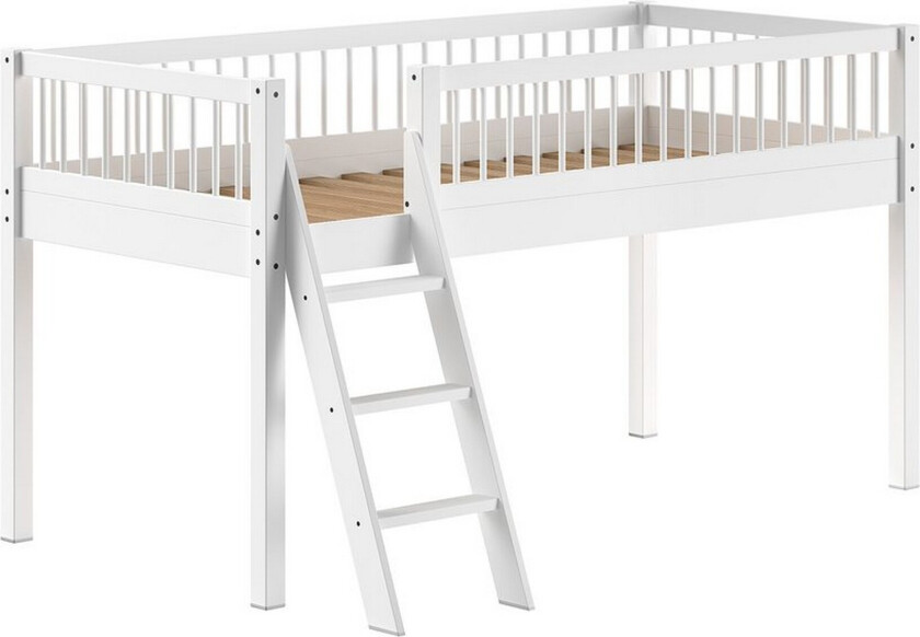 Middelseng Forrest Bøk - Bøk