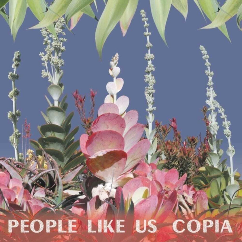People Like Us Copia LP/Vinyl