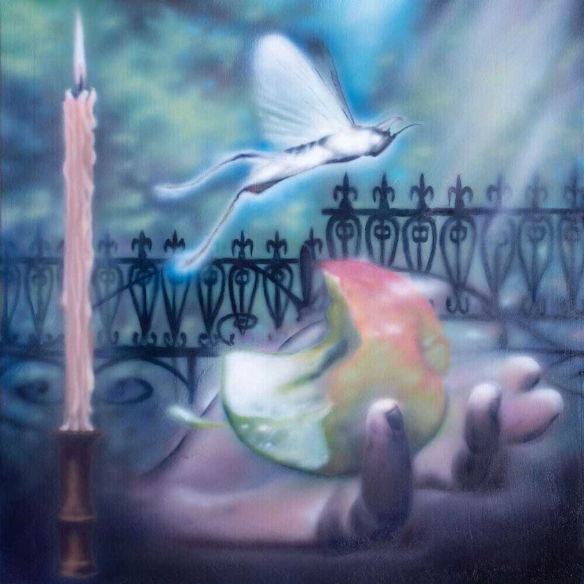 Sea Lemon Diving For A Prize LP/Vinyl