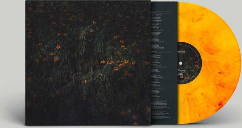 Compro Oro Estarantos LP/Vinyl