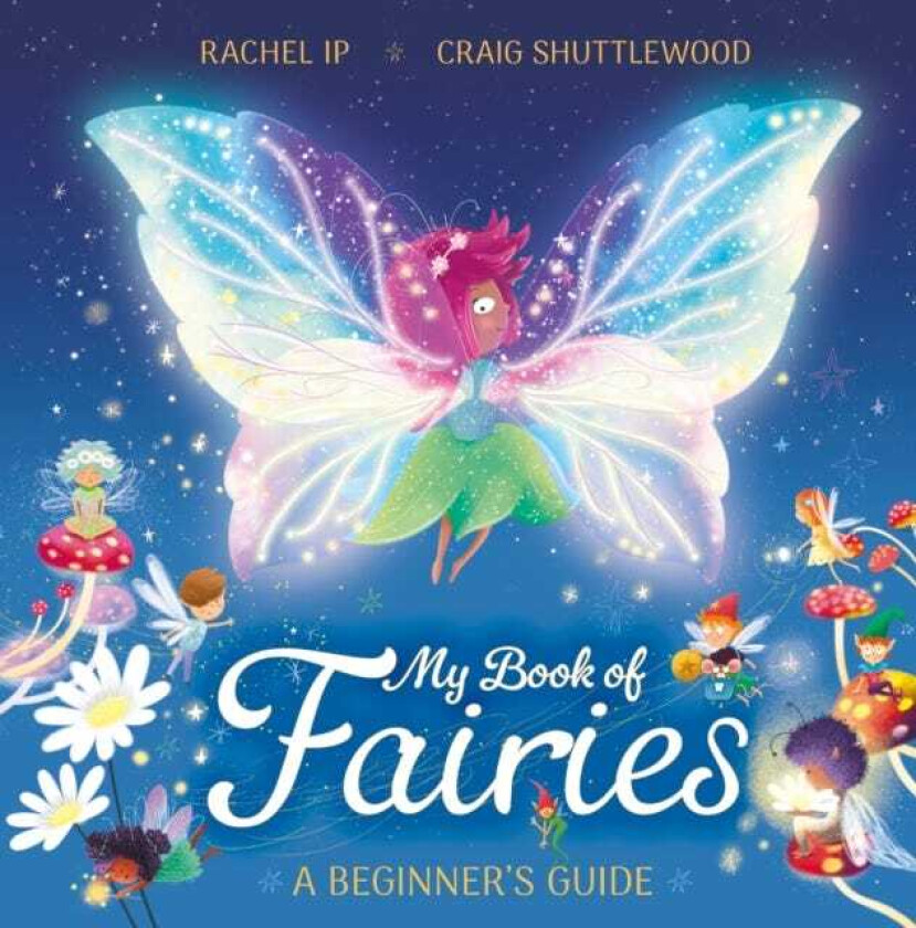 My Book of Fairies A Beginner's Guide