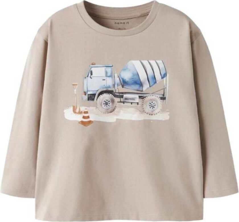 Name It - Genser Nari Island Fossil