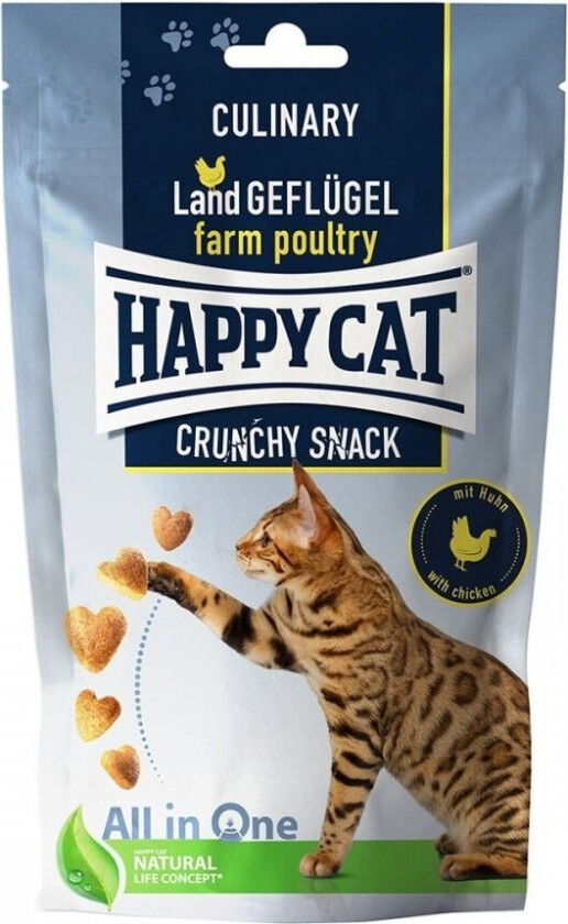 Crunchy Kattegodteri Kylling 70 g