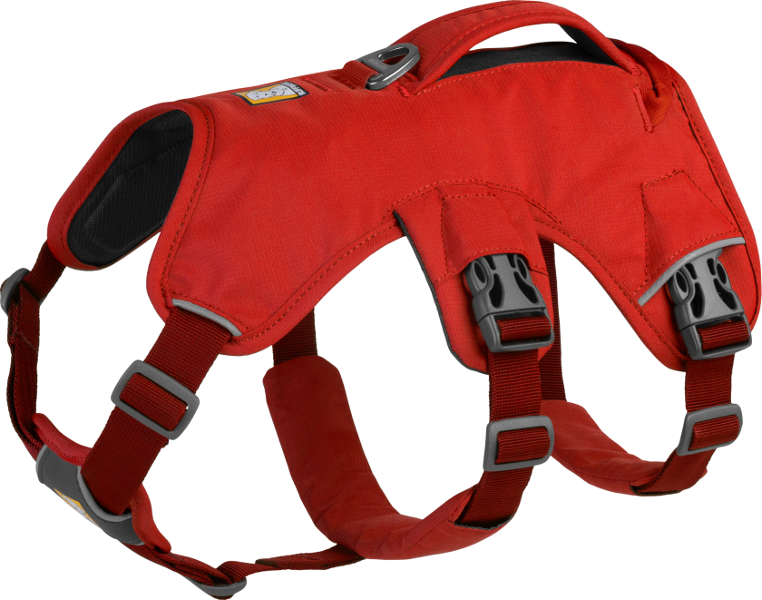 Web Master Harness Hundesele Rød Sumac M