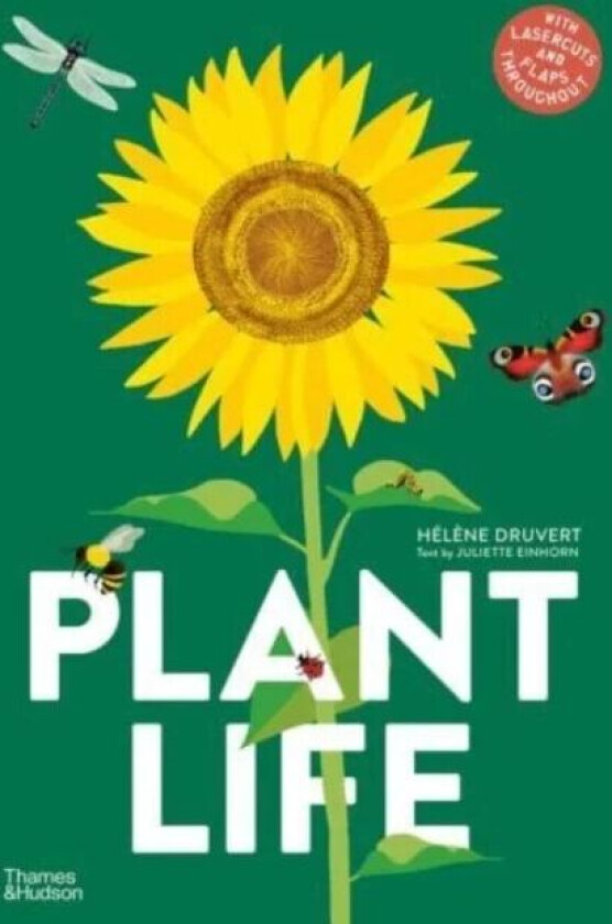 Plant Life av Helene Druvert