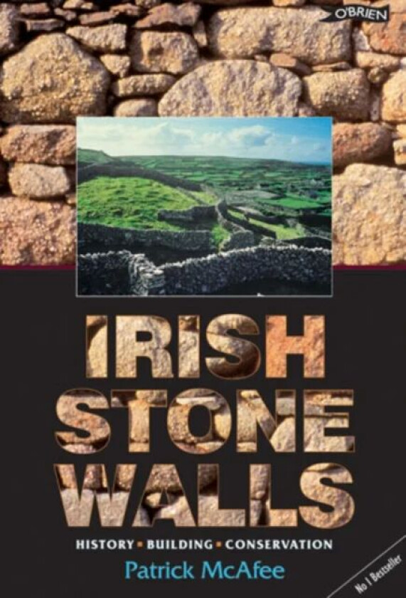 Irish Stone Walls av Pat McAfee