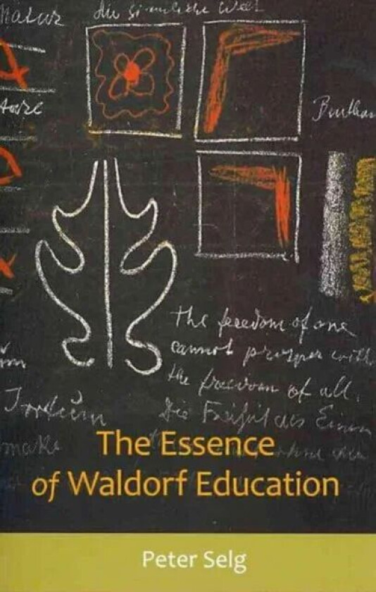 The Essence of Waldorf Education av Peter Selg