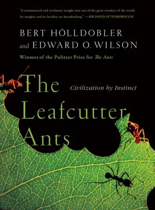 The Leafcutter Ants av Bert Hoelldobler, Edward O. (Harvard University) Wilson