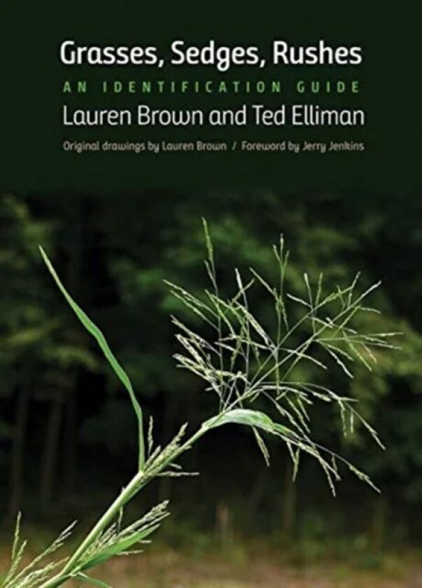 Grasses, Sedges, Rushes av Lauren Brown, Ted Elliman