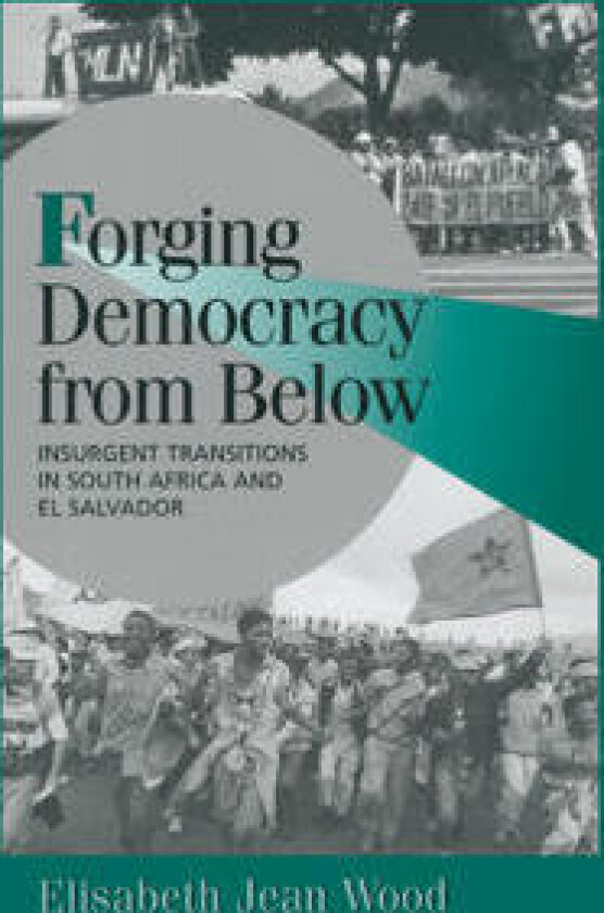 Forging Democracy from Below
