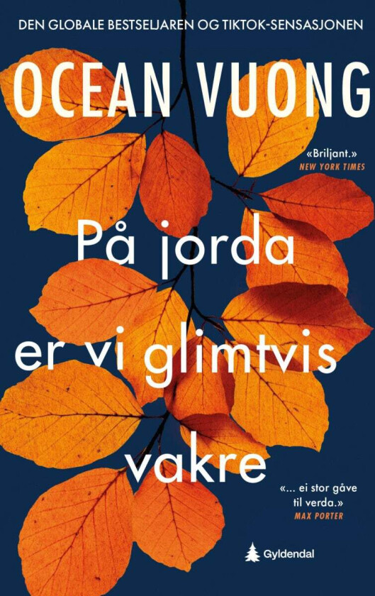 På jorda er vi glimtvis vakre av Ocean Vuong