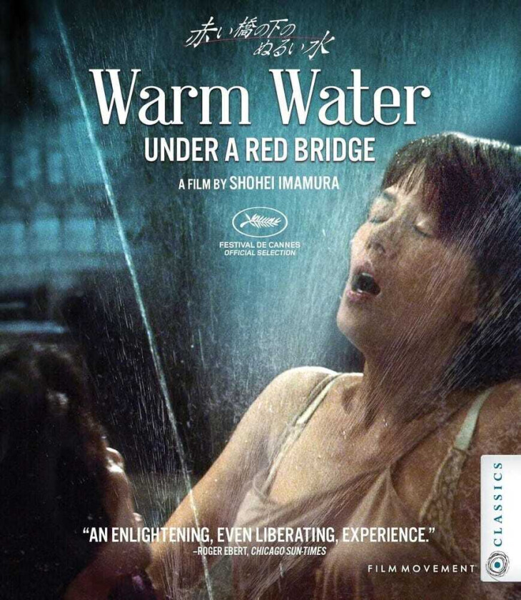Warm Water Under A Red Bridge Bluray