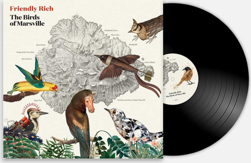 Friendly Rich The Birds of Marsville LP/Vinyl
