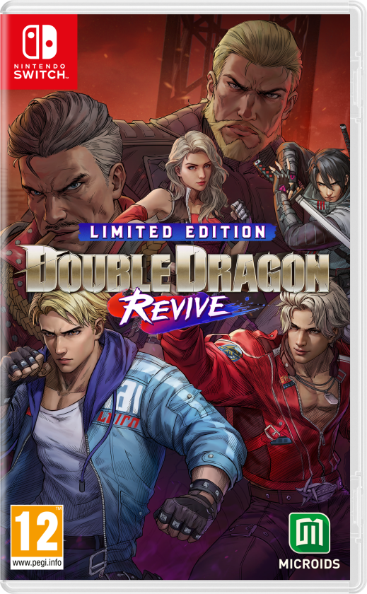 Double Dragon: Revive Spill