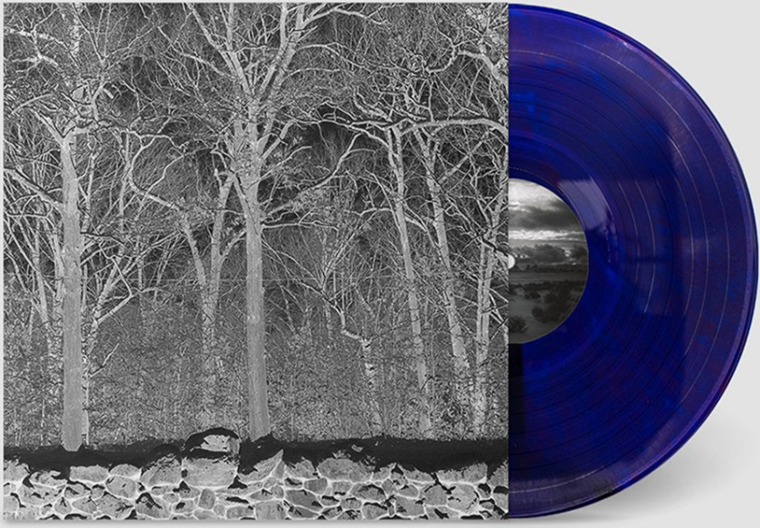 Pile Sunshine and Balance Beams LP/Vinyl